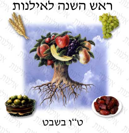 جشن ایلانوت